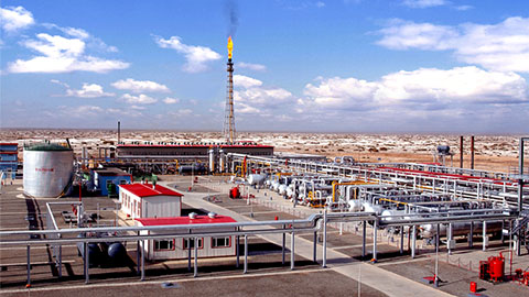 c��(�й���) - �ٷ���վ