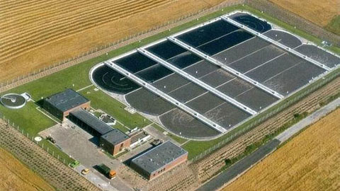 c��(�й���) - �ٷ���վ